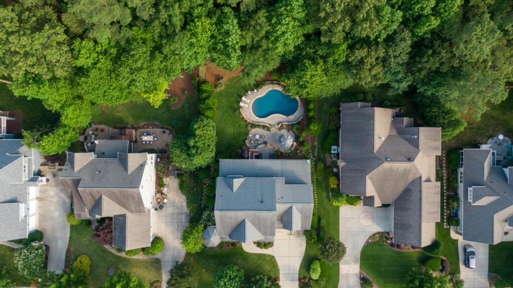 house bird eye house bird eye