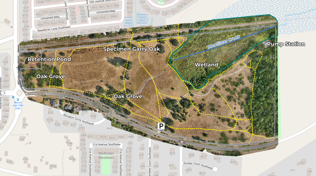 High-resolution orthomosaic map of McAllister Park in Lacey, WA created from 808 drone photos